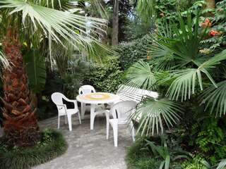 Гостиница Гостевой Дом Золотая Рыбка Адлер-6